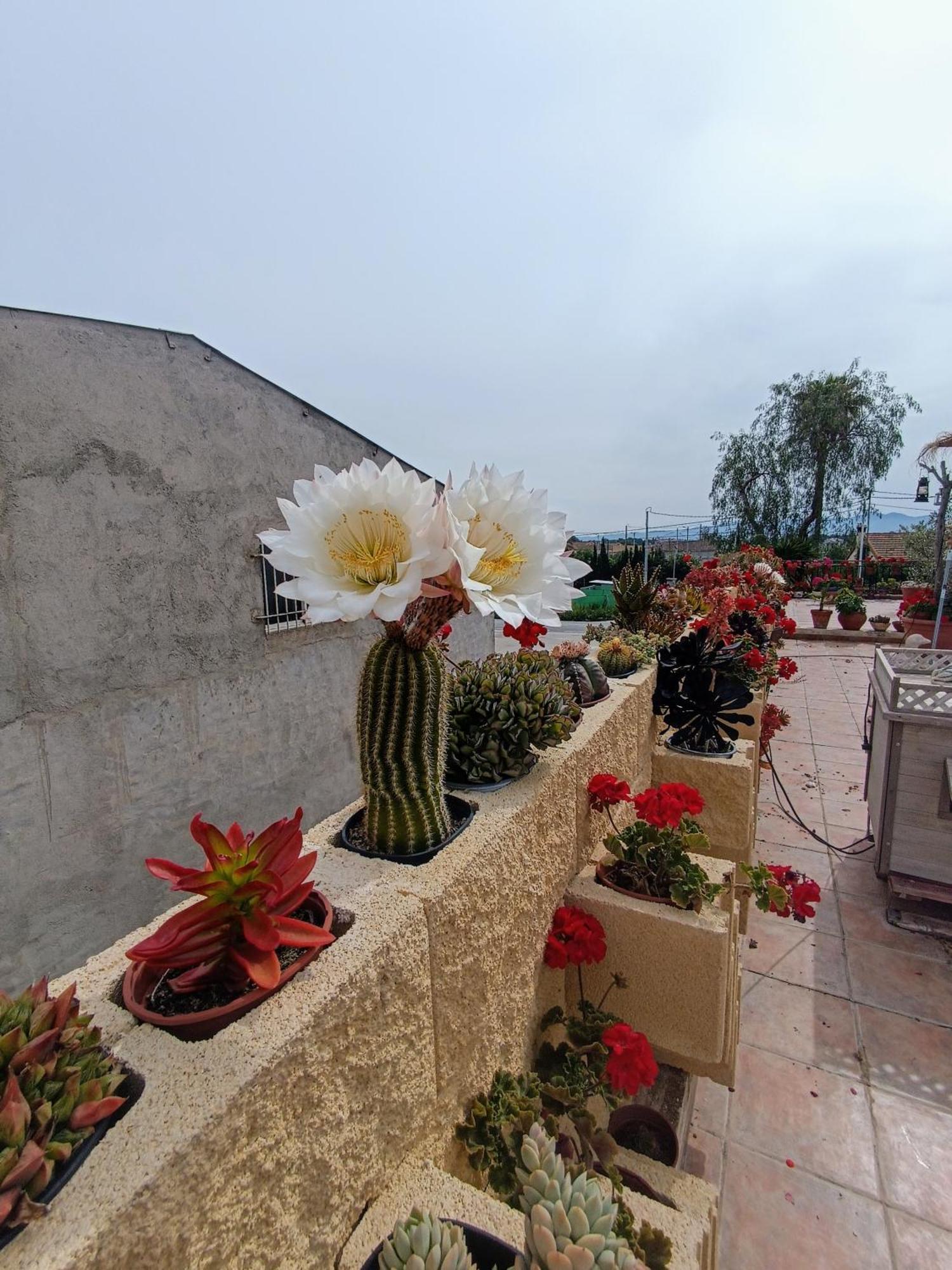 Casa Chalet Venta Ruizo Lorca Kültér fotó