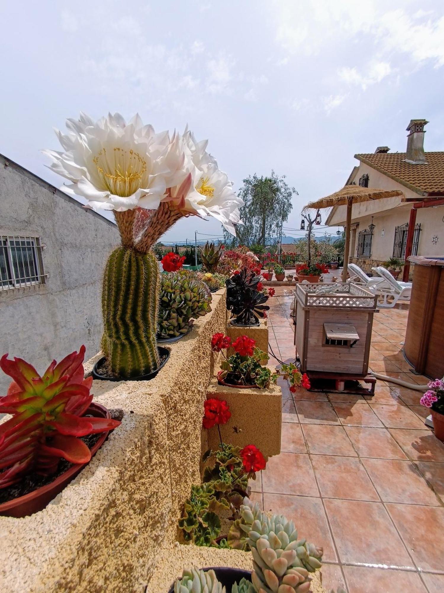 Casa Chalet Venta Ruizo Lorca Kültér fotó